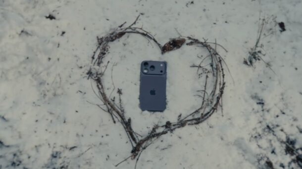 Смотрите веселый праздничный ролик Apple 2025: «Звериная колядка»