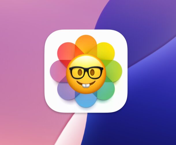 Как улучшить расположение фото в приложении «Фото» на iPhone с iOS 18