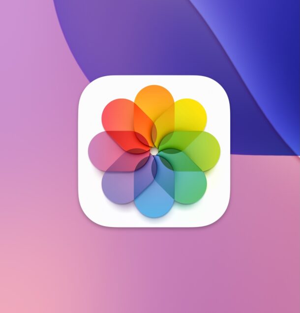 Как найти скриншоты в приложении «Фото» на iOS 18