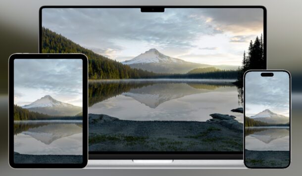 Потрясающие обои Apple Vision Pro: озеро Триллиум с отражением горы Худ