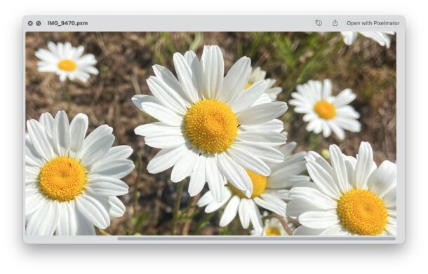 Что такое PXM-файл и как его открыть?