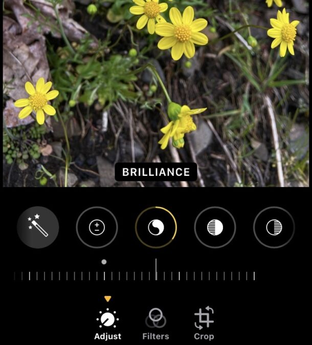 Как массово редактировать фото на iPhone и iPad, копируя и вставляя правки