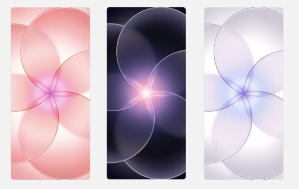 Три новые обои по умолчанию для iPhone 17e: ставим прямо сейчас