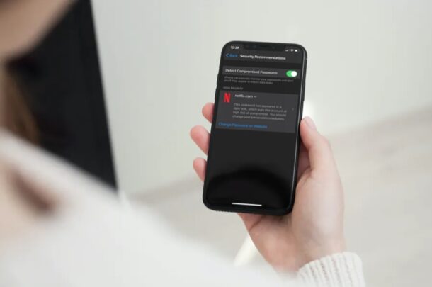 Как проверить, не утекли ли ваши пароли на iPhone и iPad (и что с этим делать)