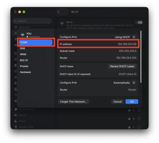 Как узнать локальный IP-адрес на MacOS 27 Golden Gate